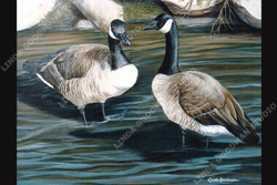 Painting of wildlife